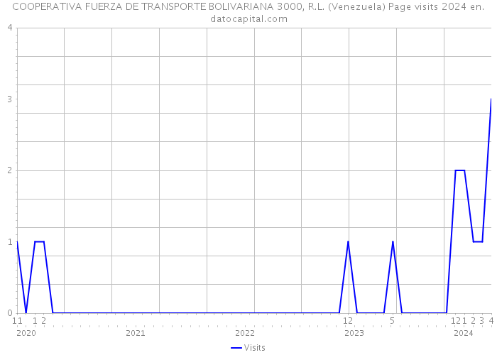 COOPERATIVA FUERZA DE TRANSPORTE BOLIVARIANA 3000, R.L. (Venezuela) Page visits 2024 