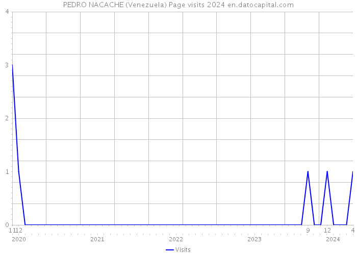 PEDRO NACACHE (Venezuela) Page visits 2024 