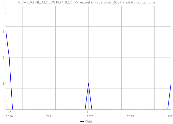 RICARDO VILLALOBOS PORTILLO (Venezuela) Page visits 2024 