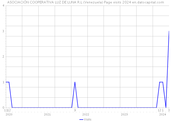 ASOCIACIÓN COOPERATIVA LUZ DE LUNA R.L (Venezuela) Page visits 2024 