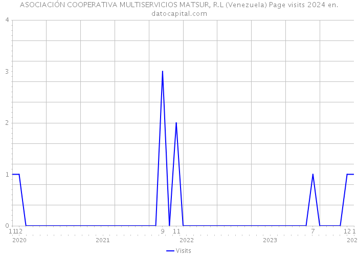 ASOCIACIÓN COOPERATIVA MULTISERVICIOS MATSUR, R.L (Venezuela) Page visits 2024 