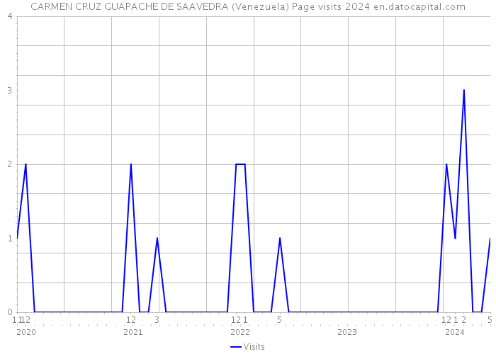 CARMEN CRUZ GUAPACHE DE SAAVEDRA (Venezuela) Page visits 2024 
