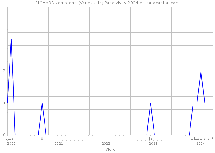 RICHARD zambrano (Venezuela) Page visits 2024 