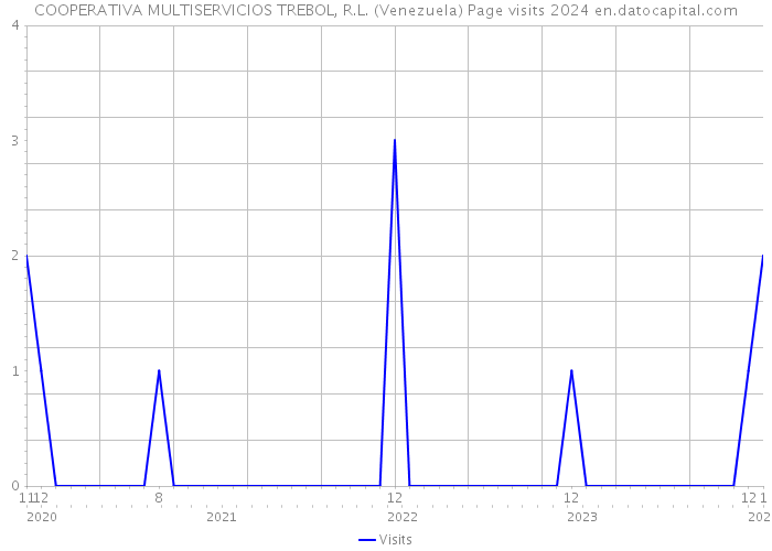 COOPERATIVA MULTISERVICIOS TREBOL, R.L. (Venezuela) Page visits 2024 
