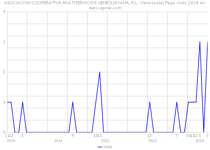 ASOCIACION COOPERATIVA MULTISERVICIOS VENEGUAYANA, R.L. (Venezuela) Page visits 2024 