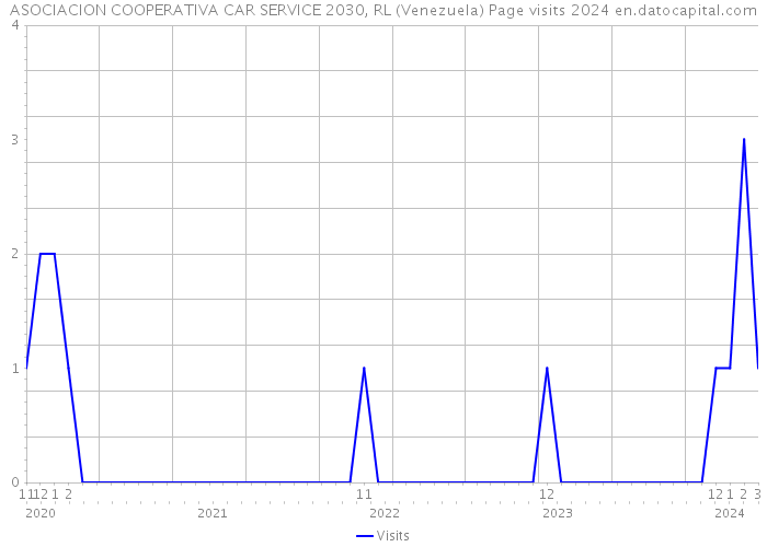 ASOCIACION COOPERATIVA CAR SERVICE 2030, RL (Venezuela) Page visits 2024 
