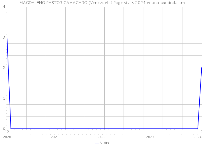 MAGDALENO PASTOR CAMACARO (Venezuela) Page visits 2024 