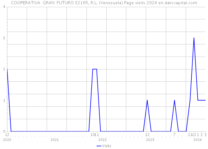 COOPERATIVA GRAN FUTURO 32165, R.L. (Venezuela) Page visits 2024 