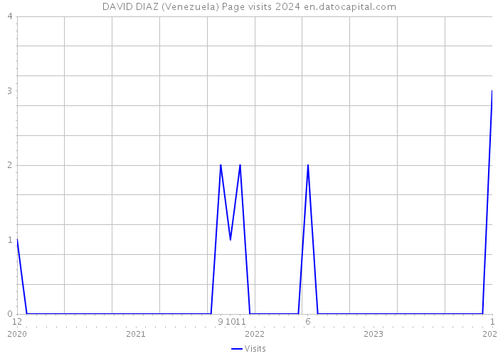 DAVID DIAZ (Venezuela) Page visits 2024 