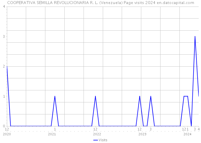 COOPERATIVA SEMILLA REVOLUCIONARIA R. L. (Venezuela) Page visits 2024 