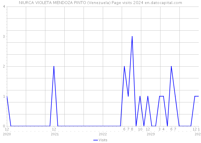 NIURCA VIOLETA MENDOZA PINTO (Venezuela) Page visits 2024 
