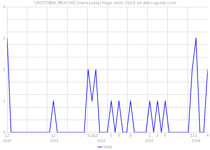 CRISTOBAL BRACHO (Venezuela) Page visits 2024 