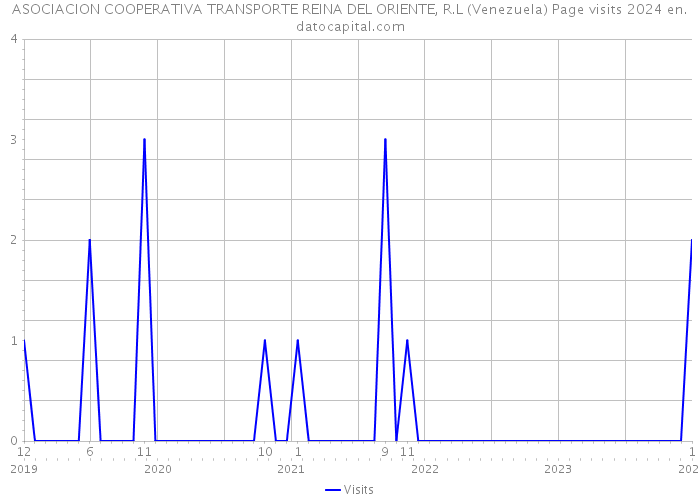 ASOCIACION COOPERATIVA TRANSPORTE REINA DEL ORIENTE, R.L (Venezuela) Page visits 2024 