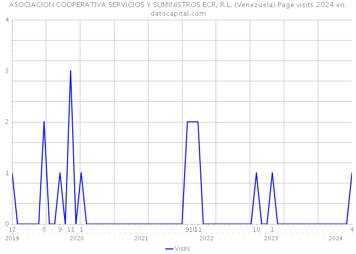 ASOCIACION COOPERATIVA SERVICIOS Y SUMINISTROS ECR, R.L. (Venezuela) Page visits 2024 