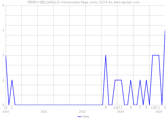 PEDRO DELGADILLO (Venezuela) Page visits 2024 