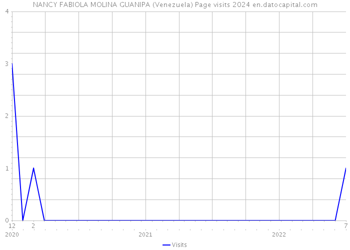 NANCY FABIOLA MOLINA GUANIPA (Venezuela) Page visits 2024 