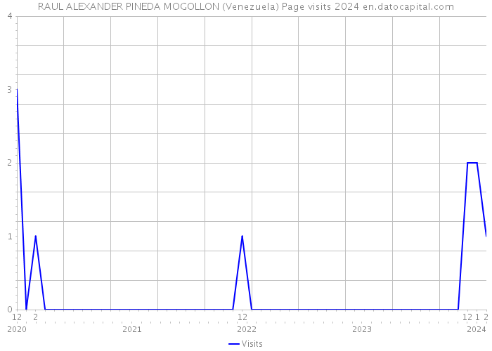 RAUL ALEXANDER PINEDA MOGOLLON (Venezuela) Page visits 2024 