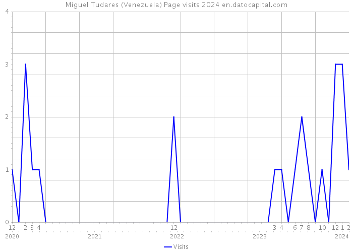 Miguel Tudares (Venezuela) Page visits 2024 