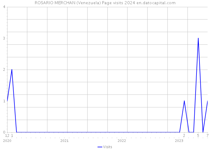 ROSARIO MERCHAN (Venezuela) Page visits 2024 