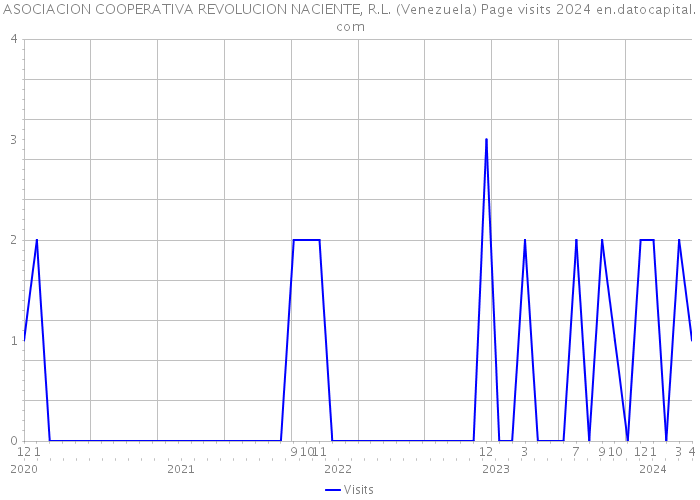 ASOCIACION COOPERATIVA REVOLUCION NACIENTE, R.L. (Venezuela) Page visits 2024 