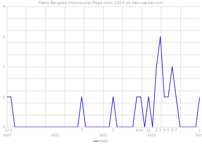 Pablo Bergada (Venezuela) Page visits 2024 