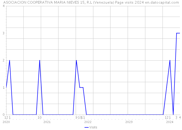 ASOCIACION COOPERATIVA MARIA NIEVES 15, R.L (Venezuela) Page visits 2024 