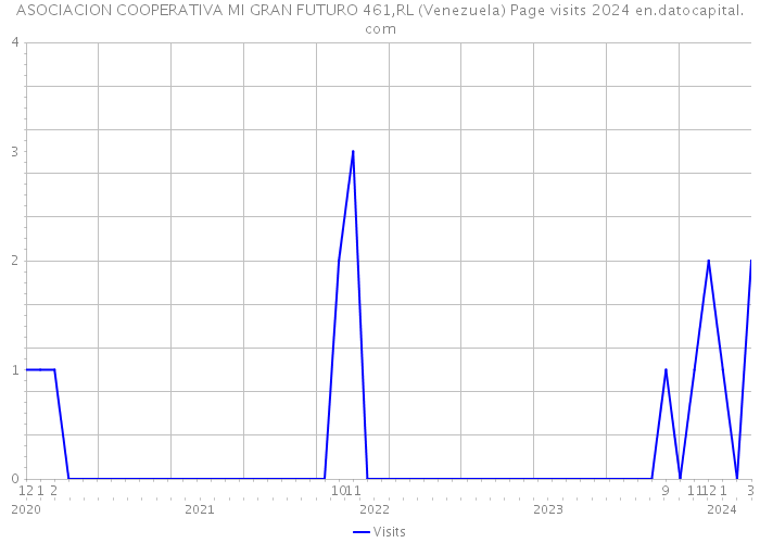ASOCIACION COOPERATIVA MI GRAN FUTURO 461,RL (Venezuela) Page visits 2024 