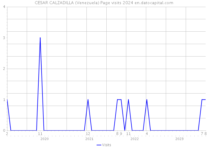 CESAR CALZADILLA (Venezuela) Page visits 2024 