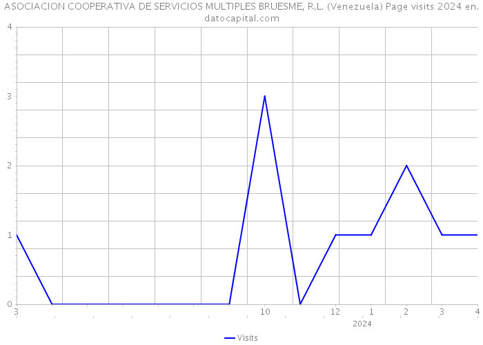 ASOCIACION COOPERATIVA DE SERVICIOS MULTIPLES BRUESME, R.L. (Venezuela) Page visits 2024 