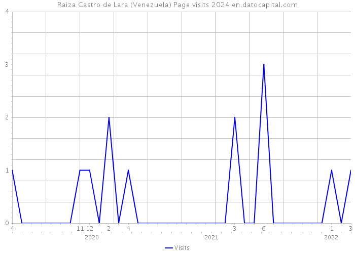 Raiza Castro de Lara (Venezuela) Page visits 2024 