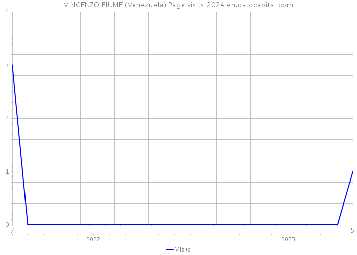 VINCENZO FIUME (Venezuela) Page visits 2024 
