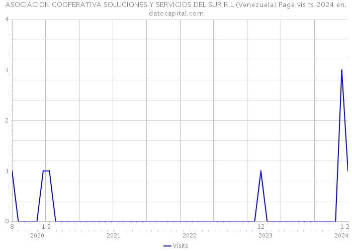 ASOCIACION COOPERATIVA SOLUCIONES Y SERVICIOS DEL SUR R.L (Venezuela) Page visits 2024 