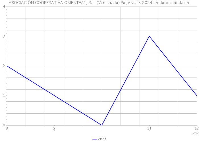 ASOCIACIÓN COOPERATIVA ORIENTEA1, R.L. (Venezuela) Page visits 2024 