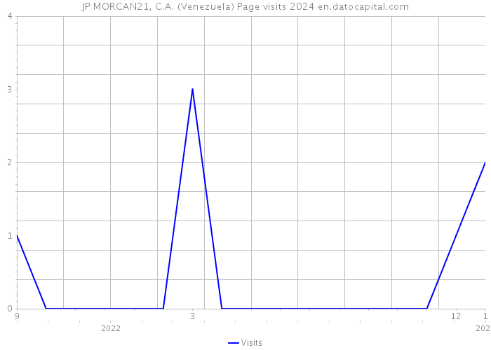JP MORCAN21, C.A. (Venezuela) Page visits 2024 