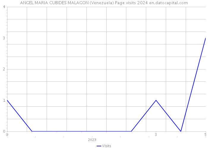ANGEL MARIA CUBIDES MALAGON (Venezuela) Page visits 2024 