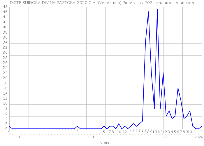 DISTRIBUIDORA DIVINA PASTORA 2020 C.A. (Venezuela) Page visits 2024 
