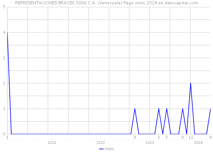 REPRESENTACIONES BRACES 3000 C.A. (Venezuela) Page visits 2024 