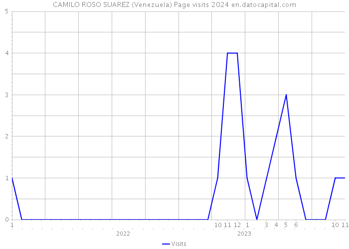 CAMILO ROSO SUAREZ (Venezuela) Page visits 2024 