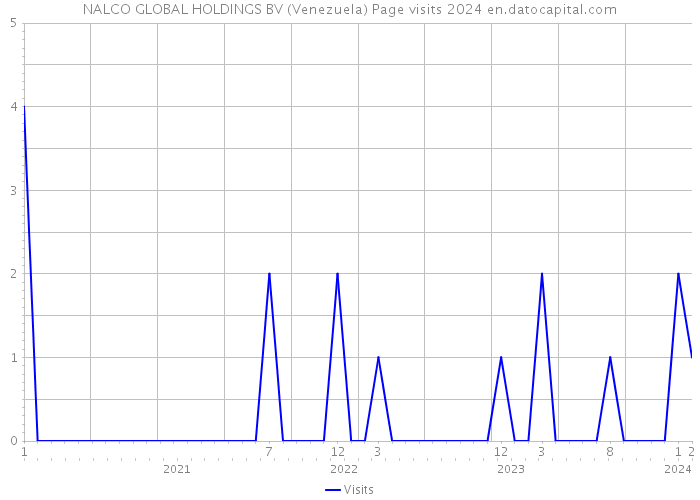 NALCO GLOBAL HOLDINGS BV (Venezuela) Page visits 2024 