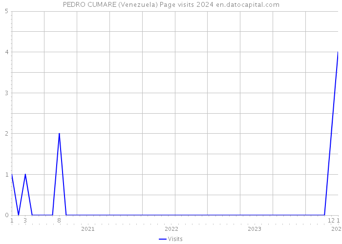 PEDRO CUMARE (Venezuela) Page visits 2024 