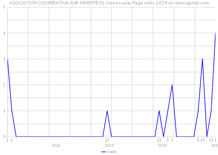 ASOCIACION COOPERATIVA SUR ORIENTE 01 (Venezuela) Page visits 2024 