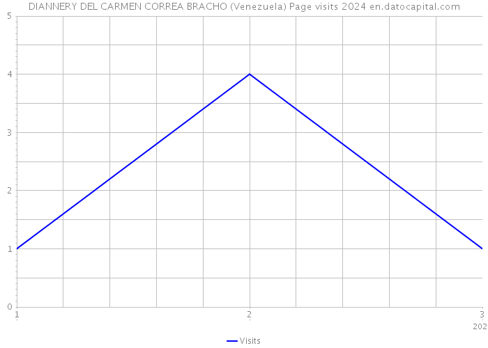 DIANNERY DEL CARMEN CORREA BRACHO (Venezuela) Page visits 2024 