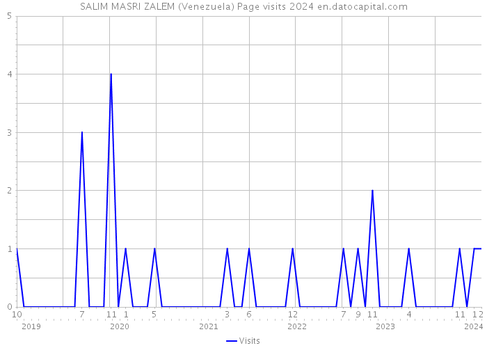 SALIM MASRI ZALEM (Venezuela) Page visits 2024 