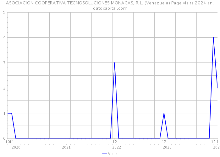 ASOCIACION COOPERATIVA TECNOSOLUCIONES MONAGAS, R.L. (Venezuela) Page visits 2024 