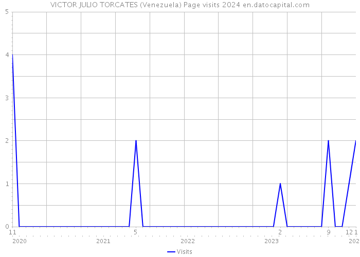 VICTOR JULIO TORCATES (Venezuela) Page visits 2024 
