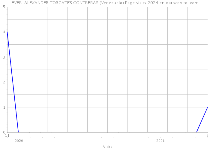 EVER ALEXANDER TORCATES CONTRERAS (Venezuela) Page visits 2024 