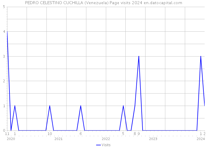 PEDRO CELESTINO CUCHILLA (Venezuela) Page visits 2024 