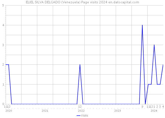 ELIEL SILVA DELGADO (Venezuela) Page visits 2024 