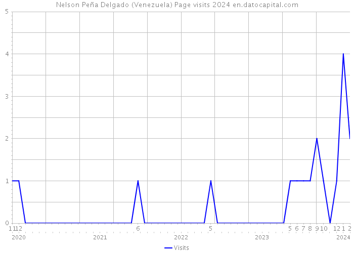 Nelson Peña Delgado (Venezuela) Page visits 2024 