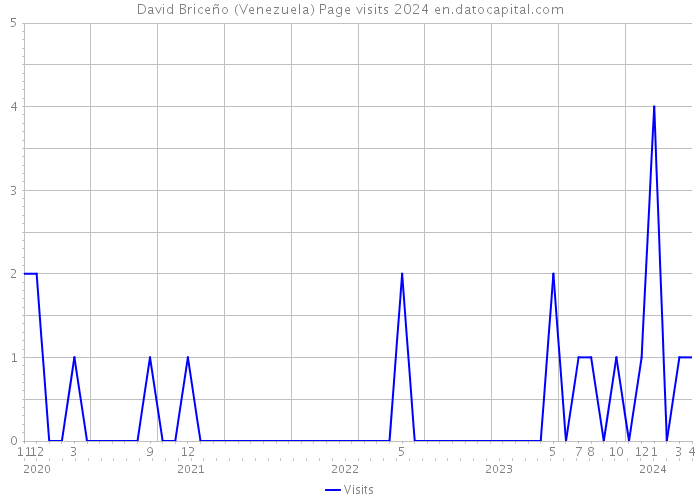 David Briceño (Venezuela) Page visits 2024 